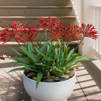 Artificial Flowers for Outdoors 18.9 in Large Fake Plants Outdoor Flower Spring Summer Decoration Outside for Front Porch Garden Window Box