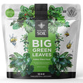 Big Green Leaves Indoor Plant Food – 4X Concentrated Houseplant Fertilizer with Sea Kelp – Makes 90 Gallons – Fast-Acting Mineral Formula, Made in USA (1 lb)