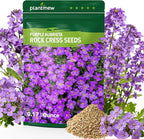 800+ Purple Aubrieta Rock Cress Seeds for Planting, Perennial Ground Cover Flower Seeds for Rock Gardens, Borders & Slopes, Attracts Butterflies & Pollinators