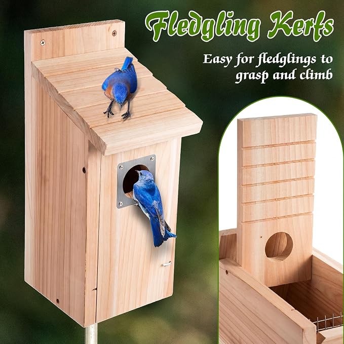 Dreyoo 2 Pack Bluebird Box Houses for Outside,1-1/2'' Entrance Hole Wooden Bird Houses with Metal Guard, Secure Latch,Fledgling Grooves,Air Vents for Bluebird Wren Swallow(Wood)