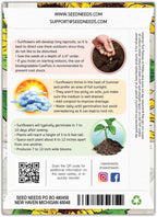 Seed Needs Henry Wilde Sunflower Seeds for Planting - Heirloom & Open Pollinated Cut Flowers - Annual Wildflowers to Grow a Butterfly Garden (1 Pack)