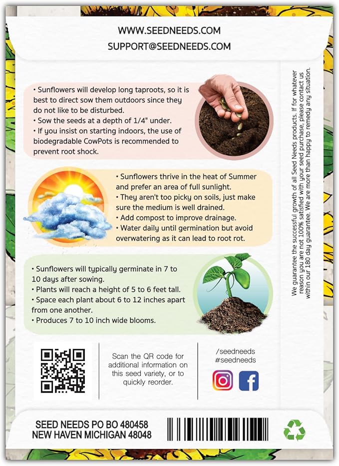 Seed Needs Henry Wilde Sunflower Seeds for Planting - Heirloom & Open Pollinated Cut Flowers - Annual Wildflowers to Grow a Butterfly Garden (1 Pack)