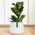 Fox & Fern Large 12 Inch Planter with Drainage Plug — Premium Polystone White Plant Pot - Modern Planter with 3D Texture and Ceramic Finish - 12 Inch Pots for Plants Indoor & Outdoor.