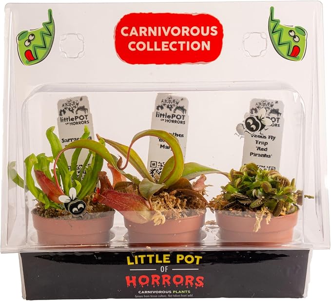 Costa Farms Live Carnivorous Plant Collection (3-Pack): Venus Flytraps, Sarracenia Pitcher Plants, and Nepenthes – Easy Care Indoor Predator Exotic Houseplants