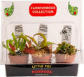 Costa Farms Live Carnivorous Plant Collection (3-Pack): Venus Flytraps, Sarracenia Pitcher Plants, and Nepenthes – Easy Care Indoor Predator Exotic Houseplants