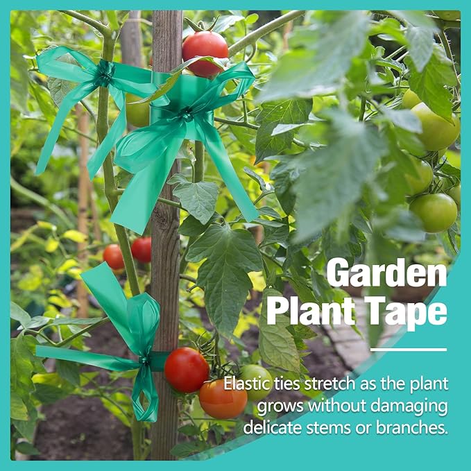 Prudiut 1200FT Stretch Tie Tape Roll, 1'' Plant Tape Green Stretch Garden Tie, Thick Sturdy Tree Nursery Tapes Vinyl Stake Ribbon Support for Indoor Outdoor Patio Plant, Tree, Vegetables, Branches