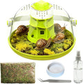 Snail Terrarium Kit Insect Enclosure Bug Terrarium Observation Container Praying Mantis Habitat Breeding Box Micro Habitat Starter Kit for Beetles Spider Small Reptile