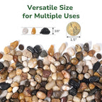 GreatBuddy 10-lb Pebbles for Indoor Plants, 3/8" Pea Gravel for Vases, Small Rocks for Succulents, Fish Tanks, Aquariums, Terrarium, Drainage Pebbles for Potted Plants, River Rocks for Landscaping