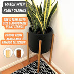 Fox & Fern 8 Inch Black Plant Pot with Drainage Plug — Premium Lightweight Fiberstone Matte Black Planter - 8 Inch Pots for Plants - for Indoor & Outdoor Use - Weather Resistant & UV Resistant