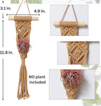4 Pack Air Plants Holders, Wall Planters for Indoor Plants | Macrame Plant Hanger, Air Plant Hanger for Air Fern, Tillandsias, Live Houseplants & Succulent (NO Plant Included)