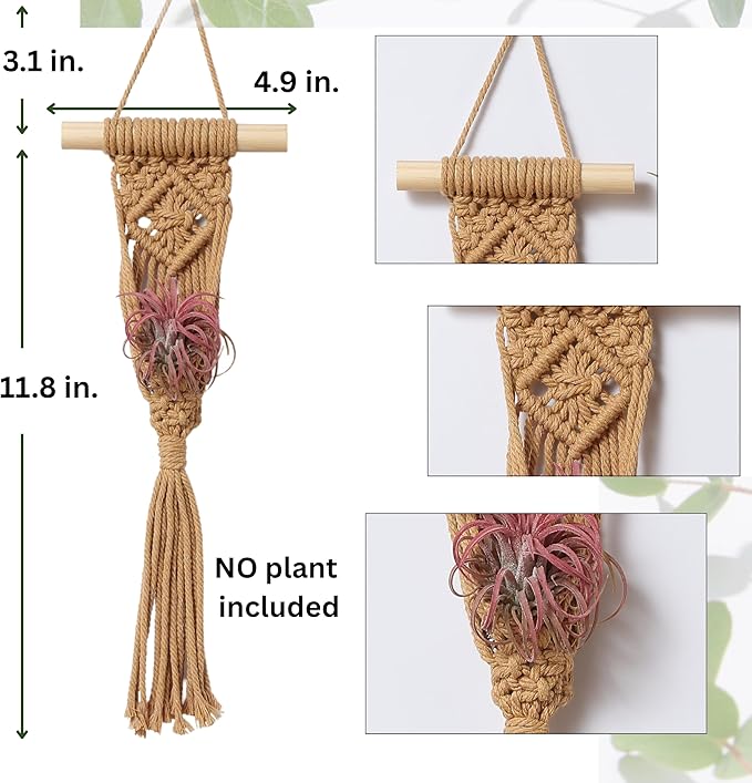 4 Pack Air Plants Holders, Wall Planters for Indoor Plants | Macrame Plant Hanger, Air Plant Hanger for Air Fern, Tillandsias, Live Houseplants & Succulent (NO Plant Included)