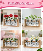 Nacome Plant Terrarium Propagation Stations: Mothers Day Gifts for Mom Plant Lovers Women Wife Daughter - 3 Bulb Glass Vase with Wooden Stand Tabletop for Hydroponics Home Garden Decor(Gray)