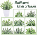 Der Rose 8 Pack Fake Plants Small Artificial Faux Potted Plants for Home Office Farmhouse Bathroom Bedroom Decor Indoor