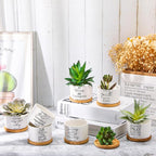 Fumete 12 Pcs Bible Verse Succulent Pots with Tray Drainage, 3 x 2 in Inspirational Mini Ceramic Flower Planter Christian Religious Gifts for Women Men Teacher Guest Staff Church(Scripture Series)