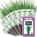 Seed Pods for All Hydroponics Growing Systems, 12 Pods Herb Kit (Chives)