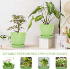 Plant Pots Indoor with Saucers & Drainage - 6 Pack Flower Pots - Plastic Planters for Indoor Planter - 7.5/6.6/5.8/5.0/4.3/3.5 inches Sizes for All Different Types of Plants-Light Green