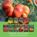 Tomato Seeds 10 Variety Pack for Planting - Black Krim, Roma, Cherry, Aunt Ruby's Green, Hillbilly, Mortgage Lifter, Brandywine, & More - Non-GMO Heirloom Tomatoes - Survival Garden Seeds
