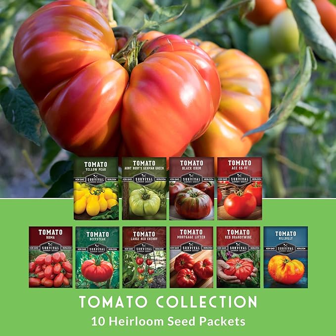 Tomato Seeds 10 Variety Pack for Planting - Black Krim, Roma, Cherry, Aunt Ruby's Green, Hillbilly, Mortgage Lifter, Brandywine, & More - Non-GMO Heirloom Tomatoes - Survival Garden Seeds