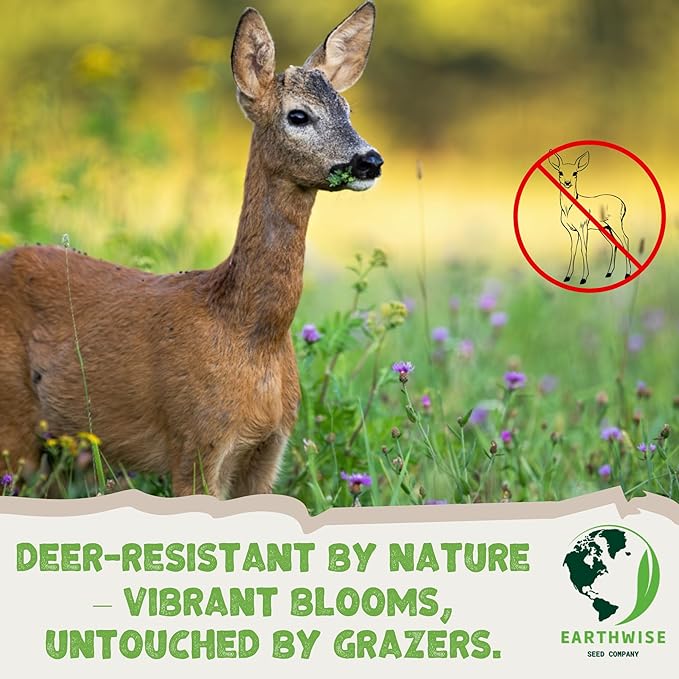 Earthwise No Deer Here Wildflower Seed Mix – Deer-Resistant Seeds, Easy Grow, Colorful Blooms, Drought Tolerant, Pollinator Friendly, Pet Safe, Organic, Chemical-Free – Covers Up to 1,500 sq ft, 1 lb