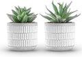 Der Rose Set of 2 Succulents Plants Artificial Fake Cactus Plants for Living Room Bathroom Bedroom Aesthetic Home Shelf Decor