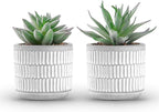 Der Rose Set of 2 Succulents Plants Artificial Fake Cactus Plants for Living Room Bathroom Bedroom Aesthetic Home Shelf Decor