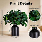 12 Inch Artificial Plant Indoor,Small Fake Plants Eucalyptus Stems With Vase,Faux Greenery In Pot For Farmhouse Home Decor,Bathroom Living Room Kitchen Office Coffee Table Centerpiece (Black)