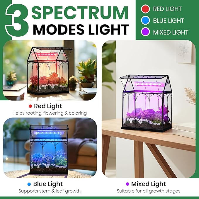 Meonum Tiny Glass Terrarium Kit with Grow Light, Venus Fly Trap Terrarium with Absorbent Mat, Timer&3 Light Modes for Succulent Live Air Plants Indoor Home Office Decor (7.1"x 4.7"x 8.7",USB Powered)