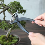 Wazakura Japan Hand Forged Bonsai Trunk Splitter 8.25" (210mm) - Japanese Carbon Steel Bonsai Tool for Controlled Trunk & Branch Splitting - Handmade in Sanjo, Niigata
