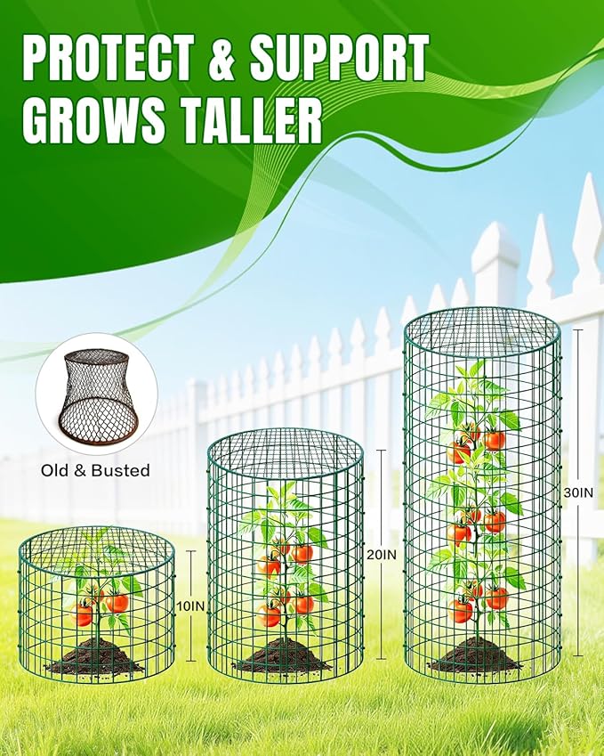 Breeze Touch 6 Pcs Plant Protectors from Animals, 12" H x 12" D Metal Plant Cages for Outdoor Plants, Sturdy Garden Cloches for Plants, Anti-Scratch Chicken Wire Mesh/Fencing, Strawberry Protector