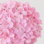 ZYTUYO 20 inches 4 Pcs Soft Pink Real Touch Hydrangea Artificial Flowers Boho Lifelike Real Looking Latex Hydrangeas Flower with Long Stem for Home Decor Spring Table Centrepiece