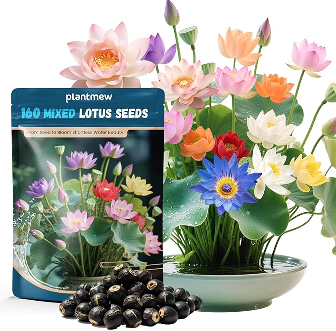 Lotus Seeds for Planting in Water – 160 PCS Mixed Bowl Lotus Seeds, Water Lily & Water Plants for Ponds, Live Pond Plants for Outdoor Ponds, Floating Pond Plants – Indoor Bonsai, Garden, Koi Pond