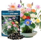 Lotus Seeds for Planting in Water – 160 PCS Mixed Bowl Lotus Seeds, Water Lily & Water Plants for Ponds, Live Pond Plants for Outdoor Ponds, Floating Pond Plants – Indoor Bonsai, Garden, Koi Pond