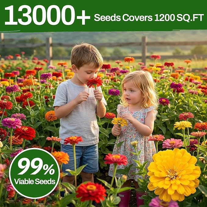 LUOJIBIE Zinnia Seeds, 13000+ Bulk Pack Mixed Colors Large Blooms Seeds, California Giant Zinnia Seeds for 2026, High Germination Non-GMO, Wildflower Seeds for Planting Indoor Outdoor, Open Pollinated
