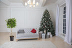 Brighter Blooms - Braided Benjamina Ficus Tree, 3-4 ft. - No Shipping to AK, AZ, HI, OR