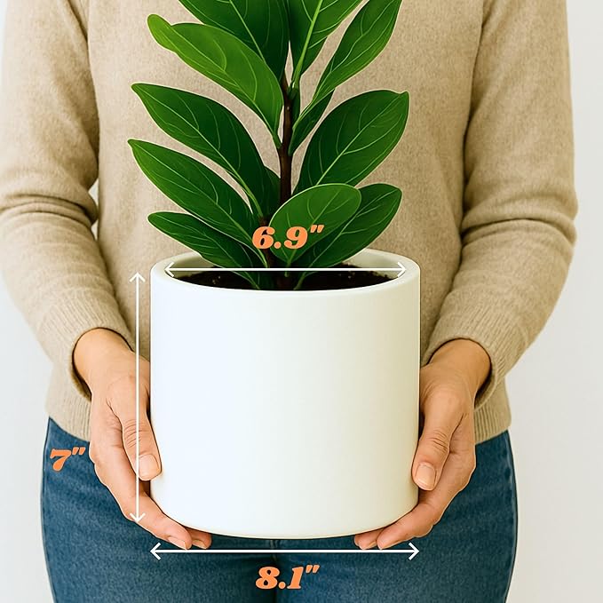 Fox & Fern Plant Pot, Large Plant Pots for Indoor & Outdoor, UV & Frost Resistant Plant Vase with Drainage Plug, Fiberstone, Large Indoor Pots for Plants & Flowers, House Indoor Plant Pot, Single Pot