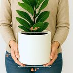 Fox & Fern Plant Pot, Large Plant Pots for Indoor & Outdoor, UV & Frost Resistant Plant Vase with Drainage Plug, Fiberstone, Large Indoor Pots for Plants & Flowers, House Indoor Plant Pot, Single Pot