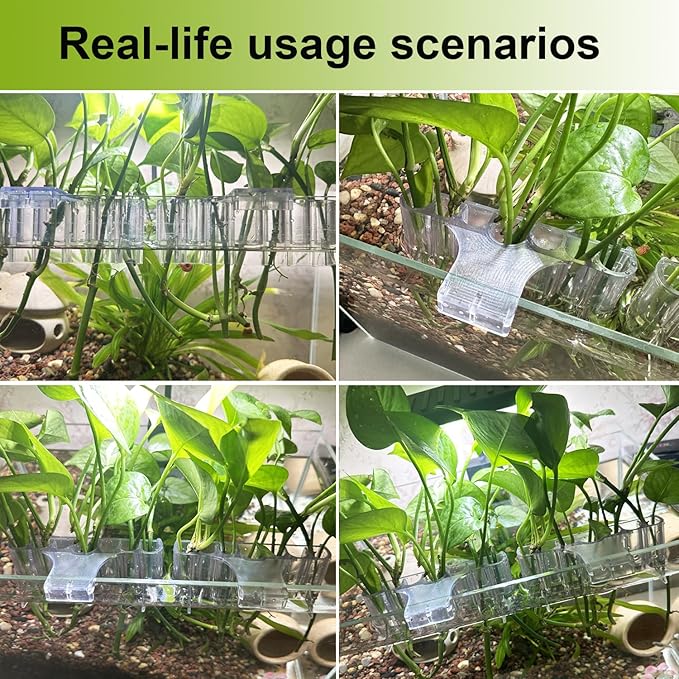 2 Pack Hanging Aquarium Plant Holder – 7-Hole Fish Tank Plant Pot for Pothos & Aquatic Plants, Floating Plant Corral, Aquascape Decor, Rim Plant Holder (Transparent)