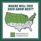 Pennington Smart Seed Sun and Shade Grass Mix 7 lb