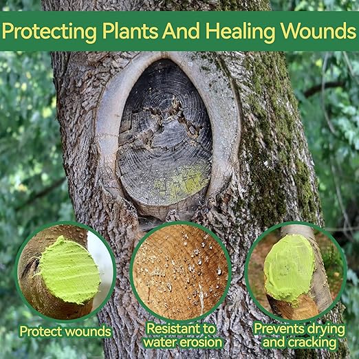 Tree Wound Sealer, 300g Pruning Sealer, Grafting Wax with Brush Tree Trunk Paint Protection Rapidly Form Protective Film for Damaged Trees Bark Repair Pruning Seal Fruit Tree Maintenance, Green