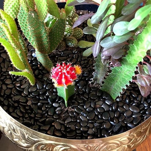 CJGQ 2.4lb 1/4" Small Pebbles Black for Plants,Potting,Succulents Aquarium Fish Tank Vases Decorative Garden Polished Gravel Rocks Stones
