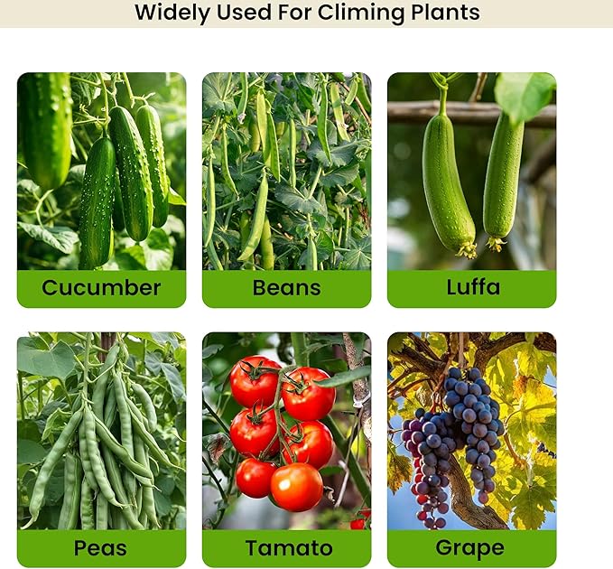 7Ft Adjustable Garden Arch Trellis for Climbing Plants Outdoor, Heavy Duty Rustproof Stainless Steel Cucumber Trellis for Raised Beds, Tall Metal Plant Support for Tomato, Squash, Beans, Flowers