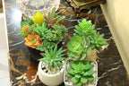 DECOROUS Artificial Succulent Plants - 16 Pack - Mini Faux Succulents - Small Unpotted Fake Succulent Set for Home and Office Décor - Realistic Succulents Plants Artificial Picks for Indoor and Oudoor