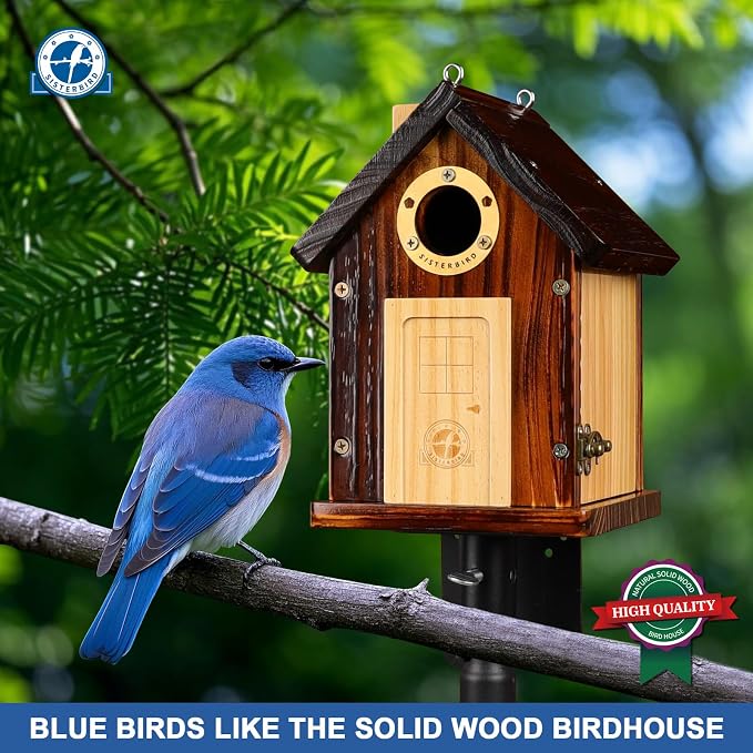 SISTERBIRD Bluebird Houses for Outside, Premium Bird Houses for Outside, Wooden Cabin Birdhouses for Outdoors, Weatherproof Courtyard Decorated Hanging Bird House, Nesting Bird House