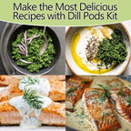 Dill Seed Pods for All Hydroponics Growing Systems, 12 Pods Herb Kit with 400+ Seeds of Dill, Grow Your Own Herb Garden at Home