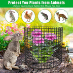5 Pack Plant Protector from Animals, 13x12 inch Wire Plant Cages Mesh Plant Cage Garden Plant Protector, Sturdy Bunny Barricades Chicken Wire Cloche Plant Protectors for Keeping Bunny Animals Out