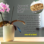 Forbidden Cereal Aroid Potting Mix 6.5QT – Chunky High-Draining Soil for Monsteras, Hoyas, Orchids & Tropical Indoor Houseplants – 8 Organic Ingredients, Peat-Free, Soilless Growing & Repotting Mix