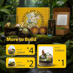 DIY Crystal Terrarium Kit– All-In-One Starter Kit with Preserved Moss, Pumice, Crystals, Coconut Coir, Gardening Tools & Decor | Healing Gift for relaxing | Plants & Crystal Lovers | Home & Desk Decor