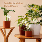 NiHome Plant Self-Watering Globes for Busy Individuals & Travelers, Long-Lasting Moisture Consistent Dripper Spike for Indoor & Outdoor Plants, Adjustable Flow Valve Easy to Refill & Maintain (4-Pack)