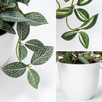 Hollyone Fake Plants 2 Packs Artificial Plants Indoor Faux Plants with White Plastic Pot Small Fake Potted Plant for Home Aesthetic Living Room Bathroom Desk Shelf Office Decor