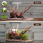 majoywoo Natural Large Driftwood for Aquarium Decor Reptile Decor, Assorted Spider Wood Branch 11-14" 2 Pcs, Fish Tank Decoration
